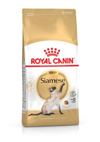 Siamese